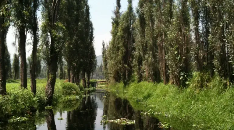 Foto de la ciudad